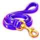 Leash