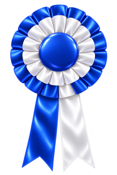 Blue and white rosette