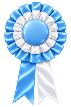 Light blue and white rosette
