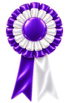 Purple and white rosette