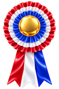 Red, white and blue rosette